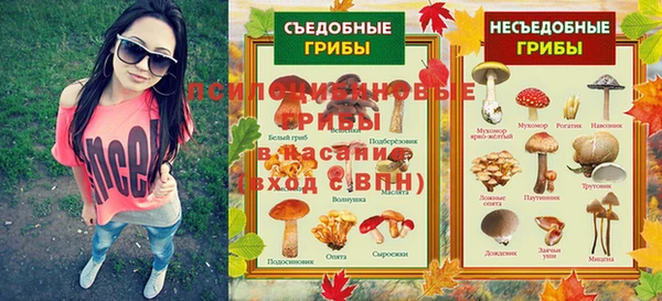 мяу мяу мука Абдулино