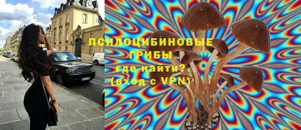 амф Саяногорск